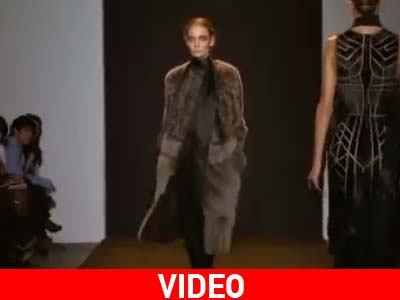 Η γούνα θα επιστρέψει δριμύτερη